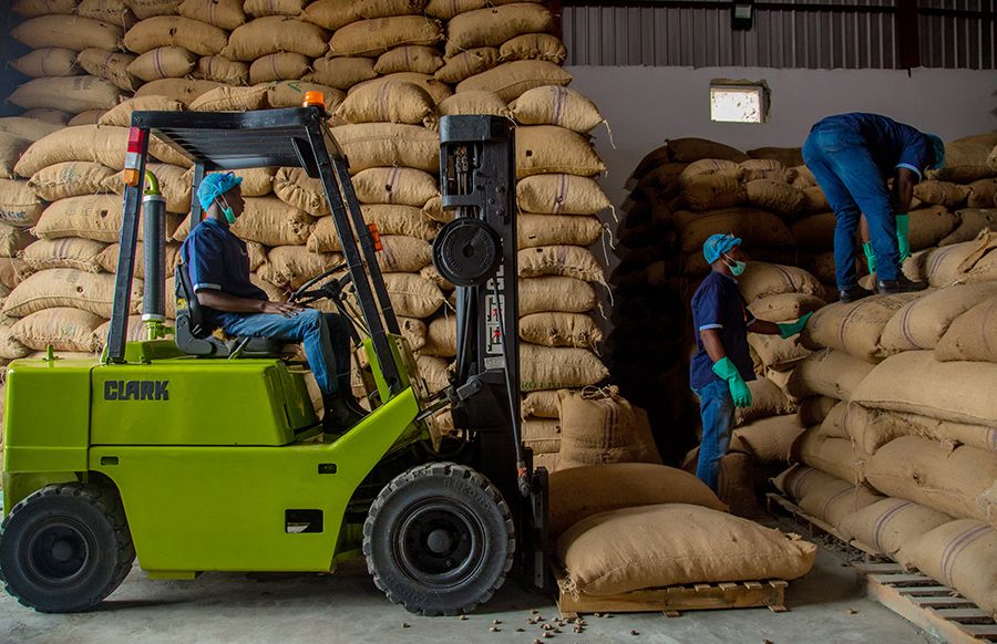 Farmforte warehouse - Check DC Brand Implementation